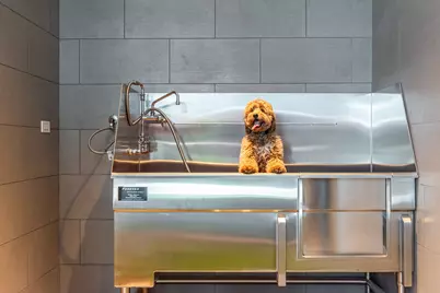 1747 Leonard Street #2402, Dallas, TX 75201 - Photo 34