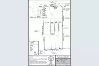 Tract 2 County Road 1726, Yantis, TX 75497 - Photo 2