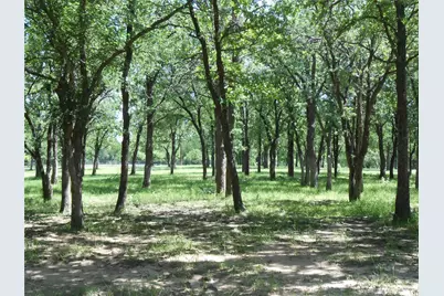 Tbd Fm-1655, Bridgeport, TX 76426 - Photo 4