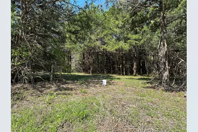 Tract 1 Farm To Market 1743, Honey Grove, TX 75446 - Photo 4