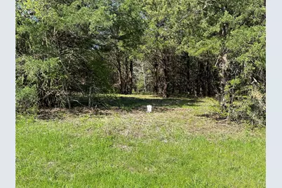 Tract 1 Farm To Market 1743, Honey Grove, TX 75446 - Photo 10