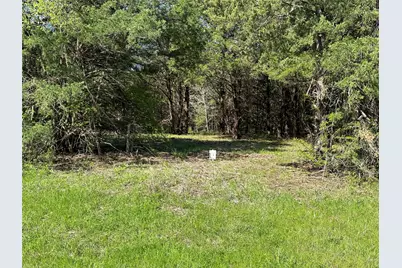 Tract 1 Farm To Market 1743, Honey Grove, TX 75446 - Photo 10