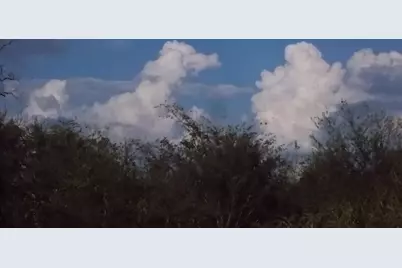 46916 US Highway 69 N, Bullard, TX 75757 - Photo 36