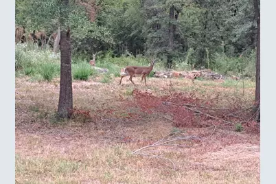 Tbd Rs County Road 3360, Emory, TX 75440 - Photo 6