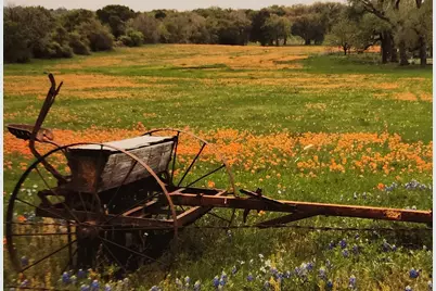 1905 County Rd 913, Joshua, TX 76058 - Photo 20