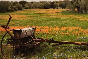 1905 County Rd 913, Joshua, TX 76058 - Photo 20