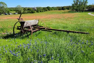 1905 County Rd 913, Joshua, TX 76058 - Photo 2