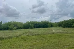 Lot 444 Indigo Bush Ct, Graford, TX 76449 - Photo 1