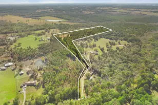 22924 County Rd 223, Arp, TX 75750 - Photo 40