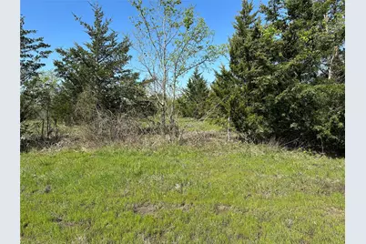 Tract 4 Farm To Market 1743, Honey Grove, TX 75446 - Photo 4