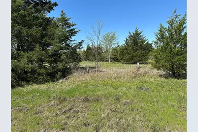 Tract 4 Farm To Market 1743, Honey Grove, TX 75446 - Photo 8