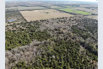 Tract 4 Farm To Market 1743, Honey Grove, TX 75446 - Photo 22