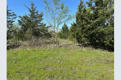 Tract 4 Farm To Market 1743, Honey Grove, TX 75446 - Photo 4