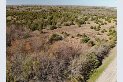 Tract 5 Farm To Market 1743, Honey Grove, TX 75446 - Photo 16