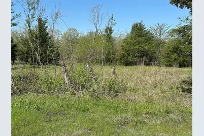 Tract 6 Farm To Market 1743, Honey Grove, TX 75446 - Photo 6
