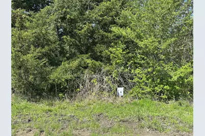 Tract 6 Farm To Market 1743, Honey Grove, TX 75446 - Photo 1