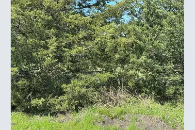 Tract 6 Farm To Market 1743, Honey Grove, TX 75446 - Photo 2