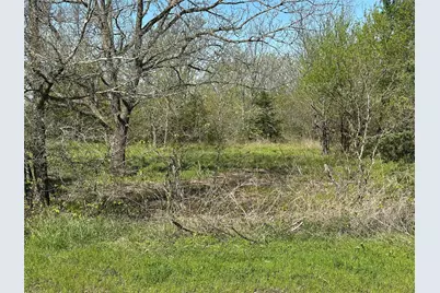 Tract 7 Farm To Market 1743, Honey Grove, TX 75446 - Photo 4