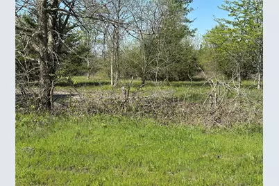 Tract 7 Farm To Market 1743, Honey Grove, TX 75446 - Photo 6