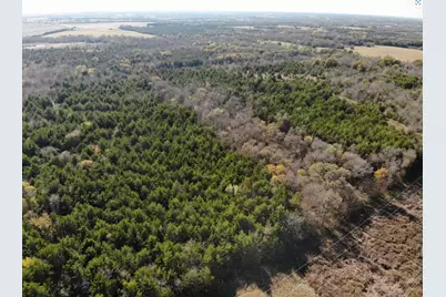 Tract 8 Farm To Market 1743, Honey Grove, TX 75446 - Photo 14