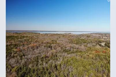 Tract 8 Farm To Market 1743, Honey Grove, TX 75446 - Photo 12