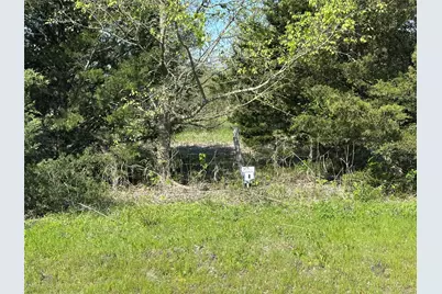 Tract 8 Farm To Market 1743, Honey Grove, TX 75446 - Photo 2
