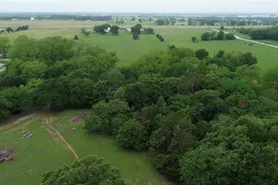 3138 Scarbrough Rd, Sadler, TX 76264 - Photo 38