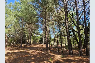 1140 Cr-3412, Chandler, TX 75758 - Photo 28