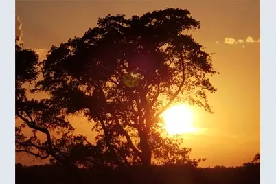 1140 Cr-3412, Chandler, TX 75758 - Photo 34