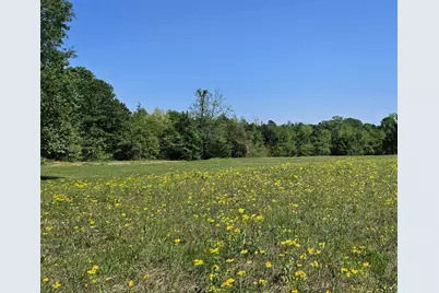 19020 Pine Meadow Lot 1 Fm 317, Chandler, TX 75758 - Photo 4