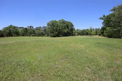 19020 Pine Meadow Lot 1 Fm 317, Chandler, TX 75758 - Photo 8