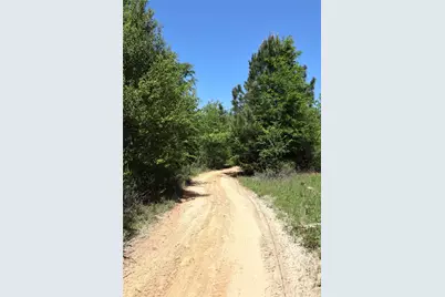 1140 Lot 2 Cr-3412, Chandler, TX 75758 - Photo 10