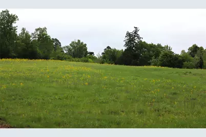 19020 Hilltop Lot 4 Fm 317, Chandler, TX 75758 - Photo 10