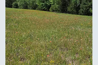 19020 Sanctuary Lot 5  4 Fm 317, Chandler, TX 75758 - Photo 12