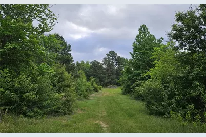 19020 Sanctuary Lot 5  4 Fm 317, Chandler, TX 75758 - Photo 6