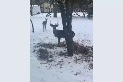 185 East Street, Buffalo Gap, TX 79508 - Photo 34