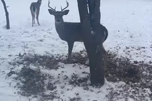 185 East St, Buffalo Gap, TX 79508 - Photo 34