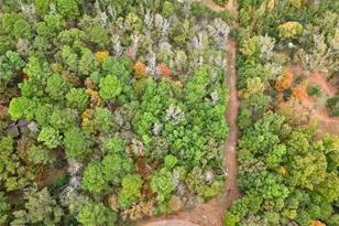 Tbd Mountain View Road N, Winona, TX 75792 - Photo 1