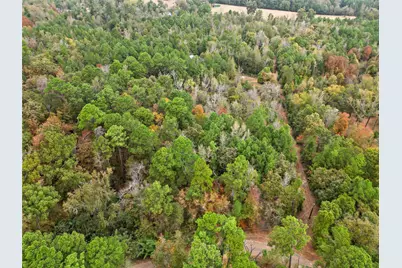 Tbd Mountain View Road N, Winona, TX 75792 - Photo 10
