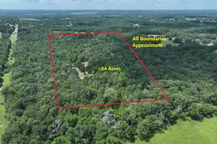 Tbd Cr 431 Rd, Fairfield, TX 75840 - Photo 1