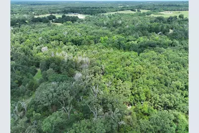 Tbd Cr 431 Road, Fairfield, TX 75840 - Photo 10