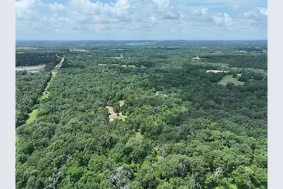 Tbd Cr 431 Road, Fairfield, TX 75840 - Photo 4