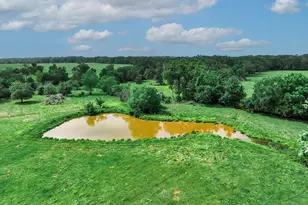 14581 Texas Hwy 11 E, Pickton, TX 75471 - Photo 6