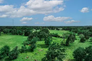 14581 Texas Hwy 11 E, Pickton, TX 75471 - Photo 4