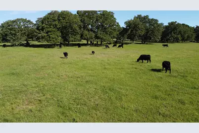 Tbd Fm 309, Hillsboro, TX 76645 - Photo 20