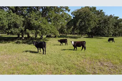 Tbd Fm 309, Hillsboro, TX 76645 - Photo 16