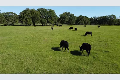 Tbd Fm 309, Hillsboro, TX 76645 - Photo 22