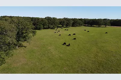 Tbd Fm 309, Hillsboro, TX 76645 - Photo 24