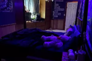 135 Whitaker Cir, Gordonville, TX 76245 - Photo 20