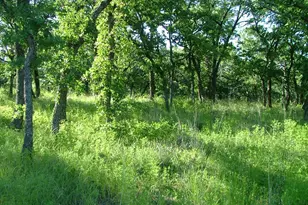 Lot 263 Ridgeline Dr, Chico, TX 76431 - Photo 1